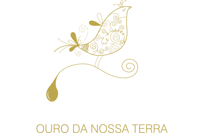 Pioneiro - O Ouro da Nossa Terra